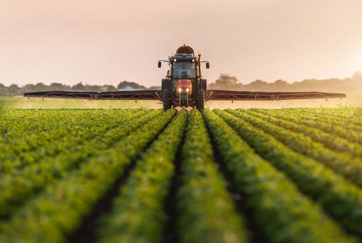 Defensivo biológico tem eficiência superior a 80% no manejo de nematoides