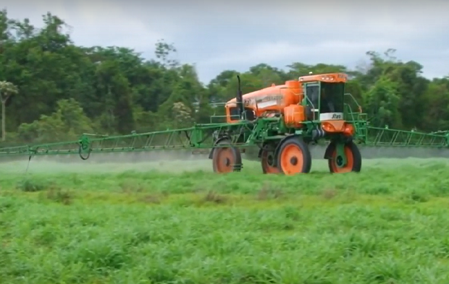 Manejo de plantas daninhas traz vantagens ao agricultor