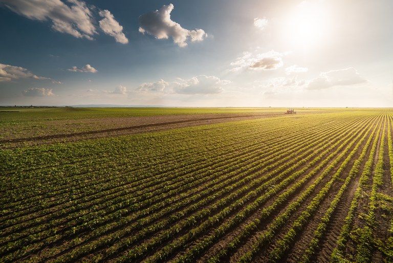 Contratação do crédito rural tem desempenho recorde no primeiro mês, com mais de R$ 24 bilhões