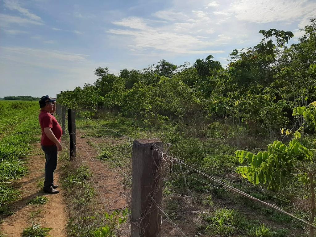 Mais da metade das áreas das propriedades rurais é preservada em Mato Grosso