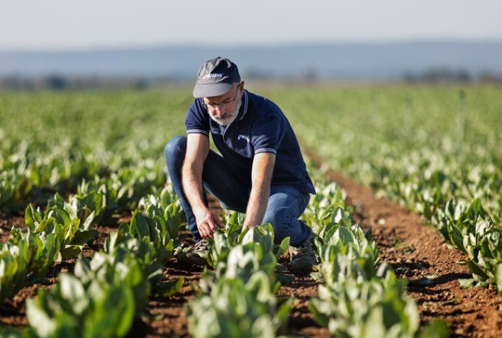 A democratização dos sistemas alimentares