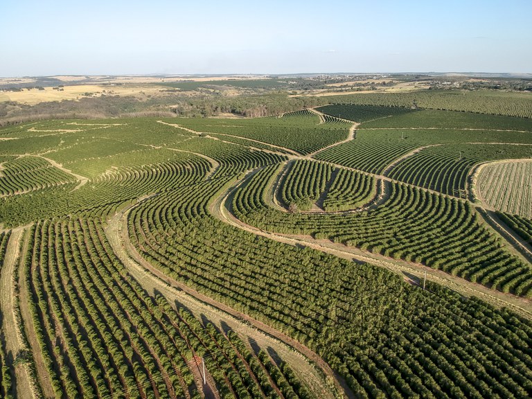 Certificado de Cadastro de Imóveis Rurais 2020 já está disponível para emissão e pagamento