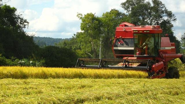 Programa da USP seleciona ideias para problemas do agronegócio