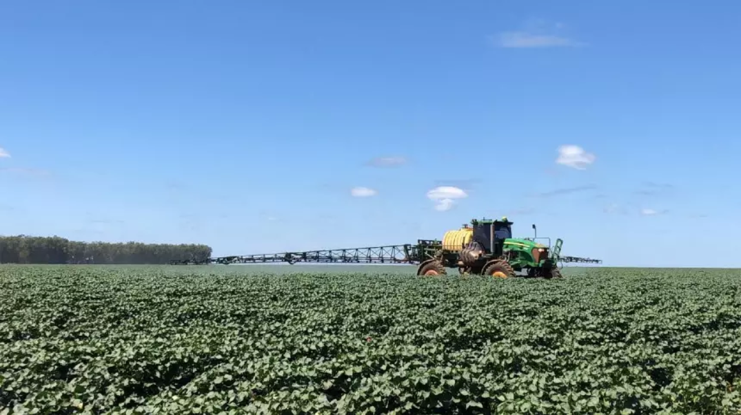 A “confusão sexual” que pode render bilhões de reais ao agronegócio brasileiro