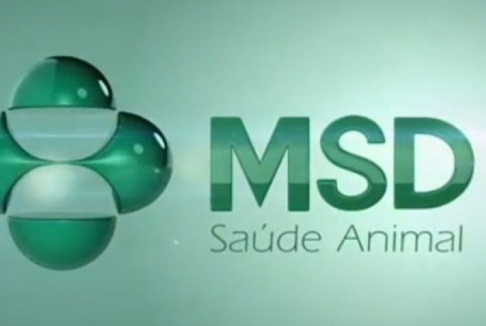 MSD Saúde Animal promove campeonatos regionais para suinocultores de todo o País