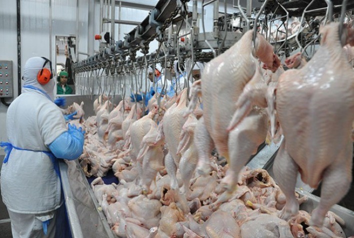 Frango abatido permanece dentro de sua curva sazonal de preços