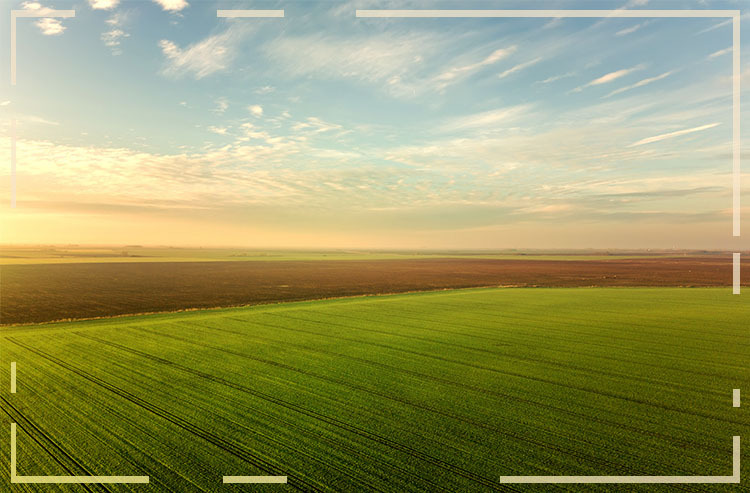 Censo do agro brasileiro faz 100 anos