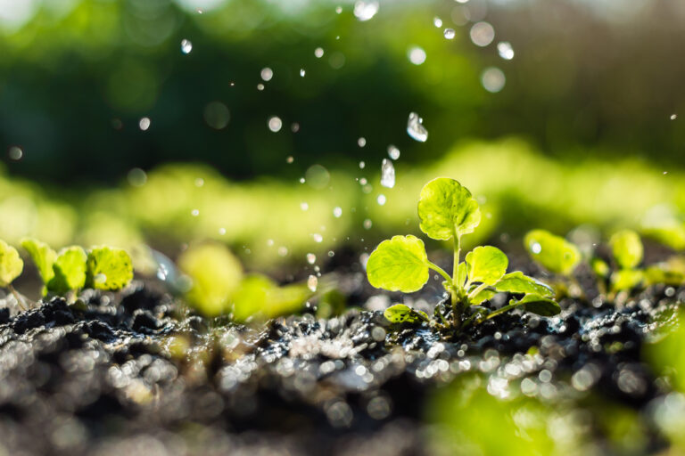 Sistema CNA/Senar lança projeto Agro pelo Brasil