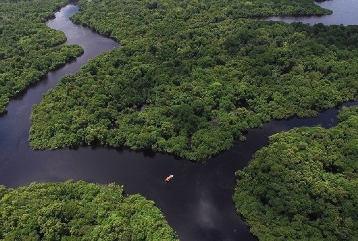 Necessidades e desafios do oceano norte do Brasil são diagnosticados para Plano Nacional