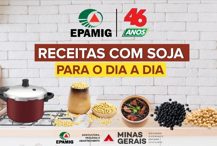 Soja para a alimentação humana tem sabor mais agradável e pode ser usada em diferentes preparações