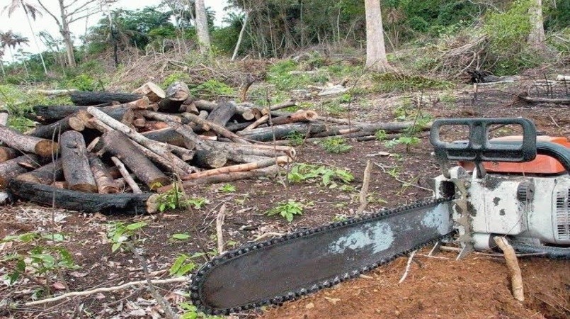 Coalizão Brasil apresenta seis medidas para a queda rápida do desmatamento