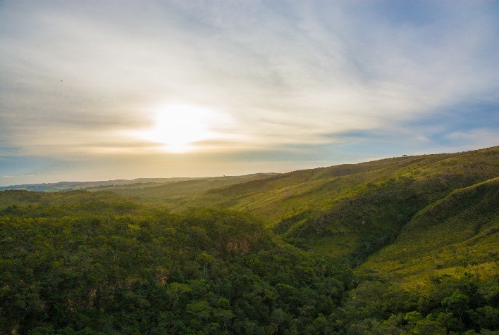 Referência internacional de sustentabilidade, Daterra firma compromisso de plantar 3 milhões de árvores