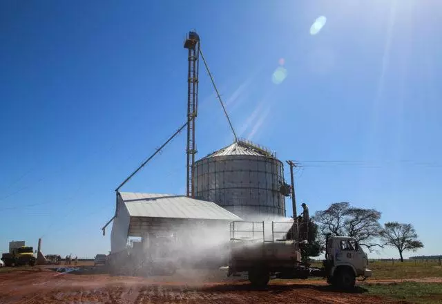 Milho: produtores de MT estocam grãos à espera de melhora nos preços