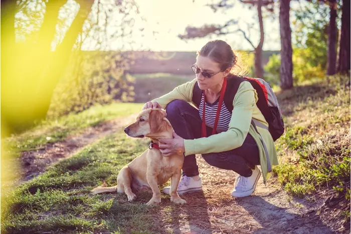 Cães: é possível eliminar pulgas e carrapatos com produtos naturais e caseiros