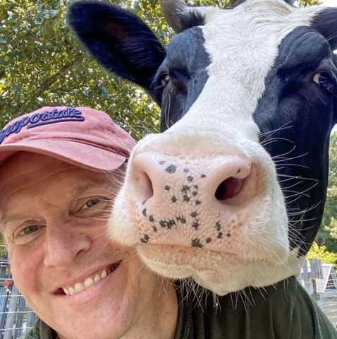 Vaca 'invade' casa todos os dias para dar abraço em homem