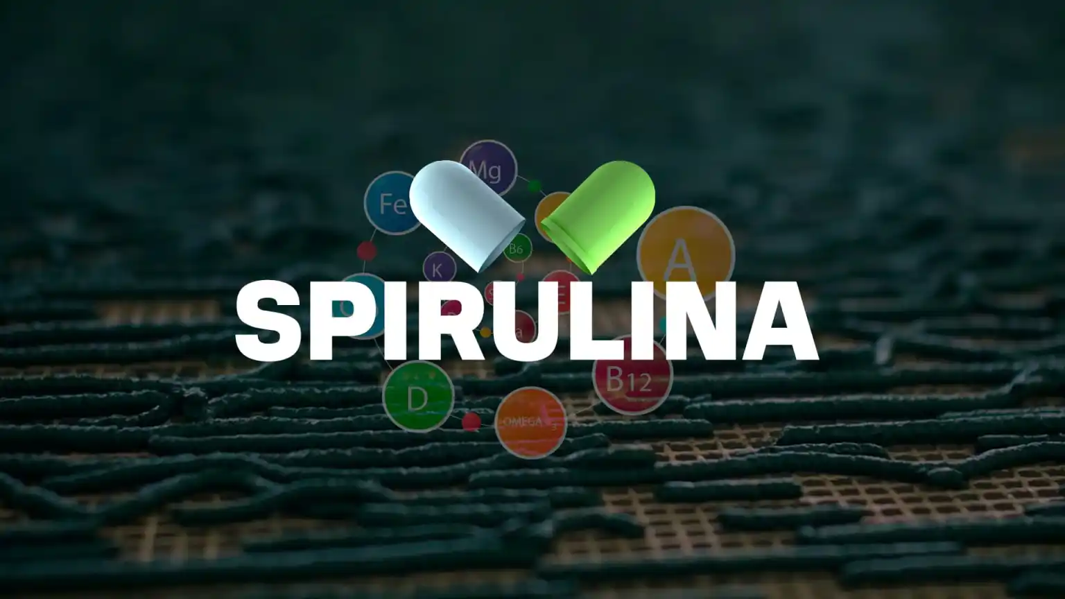 Spirulina, alimento usado pela NASA e produzido em MT