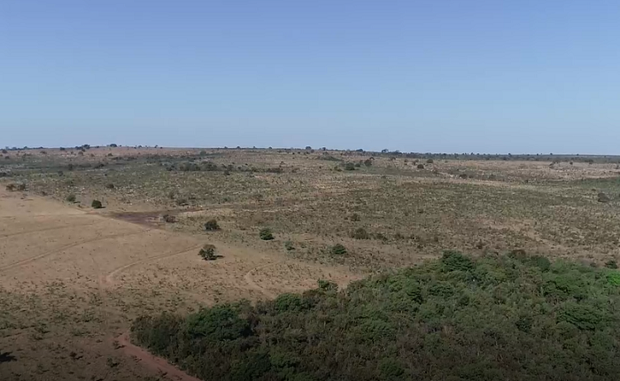 INPE APONTA QUEDA DE 13,8% EM MATO GROSSO