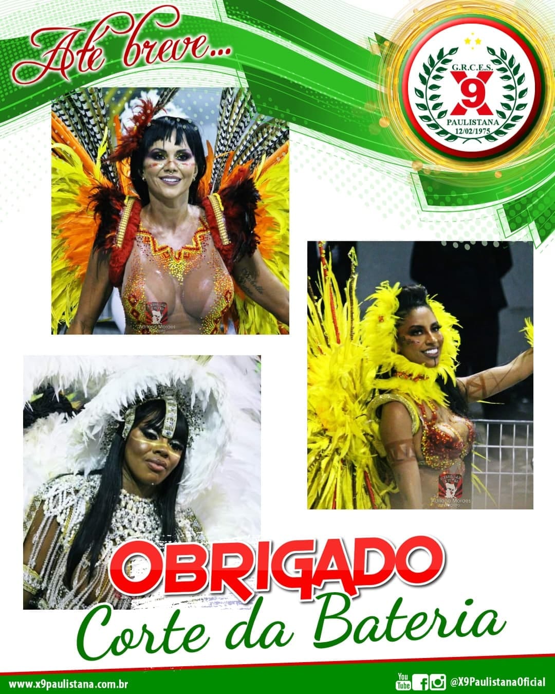 Feras do Carnaval | Bem Vindo!