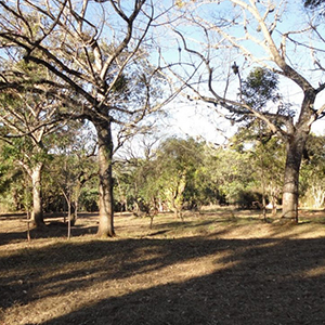 Lotes em condomínios