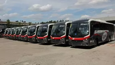 A foto mostra a frota de ônibus da Viação Mimo