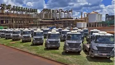 A foto mostra a frota de caminhões do Grupo Colorado