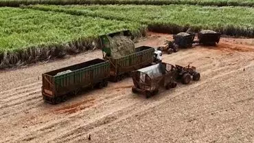 A foto mostra um rodotrem da empresa Unidas Pesados