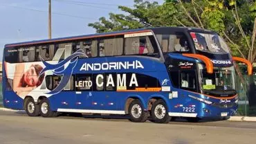 A foto mostra um ônibus da empresa Andorinha