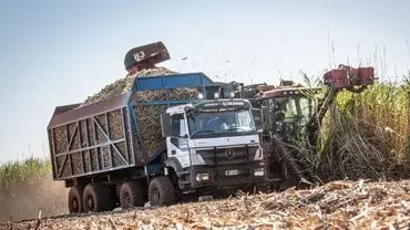 A foto mostra um caminhão da Usina Santa Terezinha