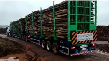 A foto mostra um Bitrem da Transportadora Hammes