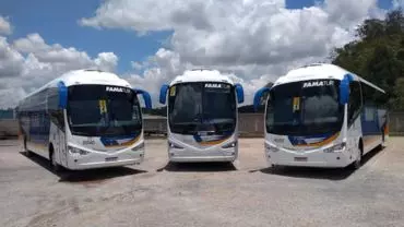 A foto mostra 3 ônibus da Famatur