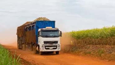 A foto mostra uma carreta da Ipiranga Agroindustrial