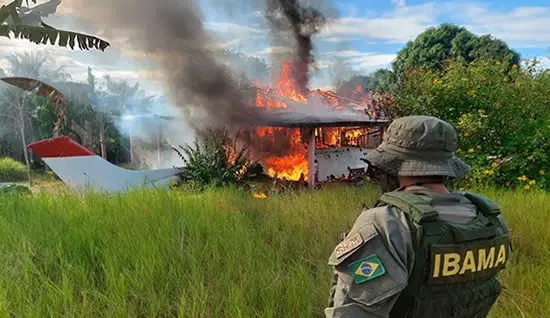 Lei de Rondônia que proibia destruição de bens apreendidos em operações ambientais é declarada inconstitucional