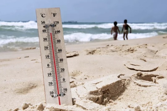 O que é temperatura? Fatos sobre as escalas Fahrenheit, Celsius e Kelvin