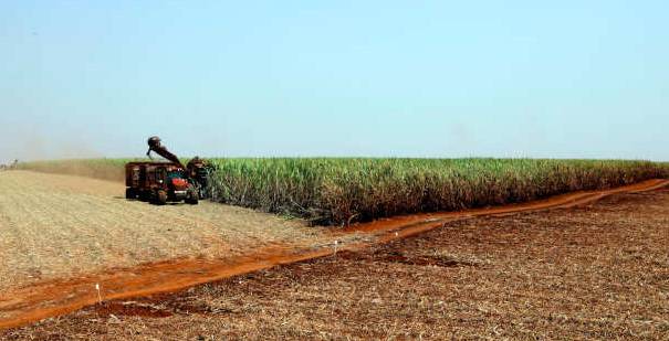 Canavieiros do Nordeste reforçam pedido de ajuda, mas não dinheiro novo