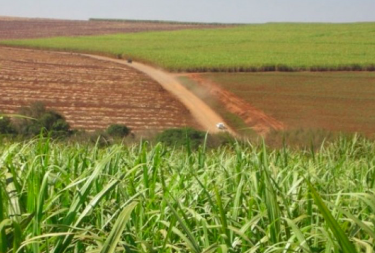 PL contra imóvel de produtor rural endividado sai de pauta da Câmara