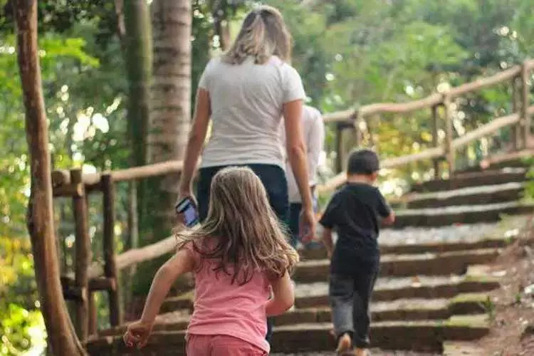 Trilhas do Parque Mariano Procópio serão liberadas no fim de semana em Juiz de Fora