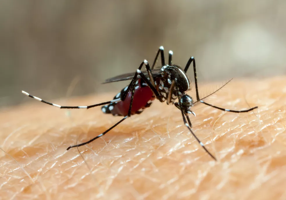 Juiz de Fora registra a primeira morte por dengue no ano