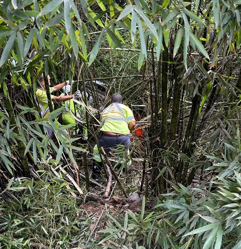 Carro sai da pista e cai em ribanceira na BR-040 em Juiz de Fora