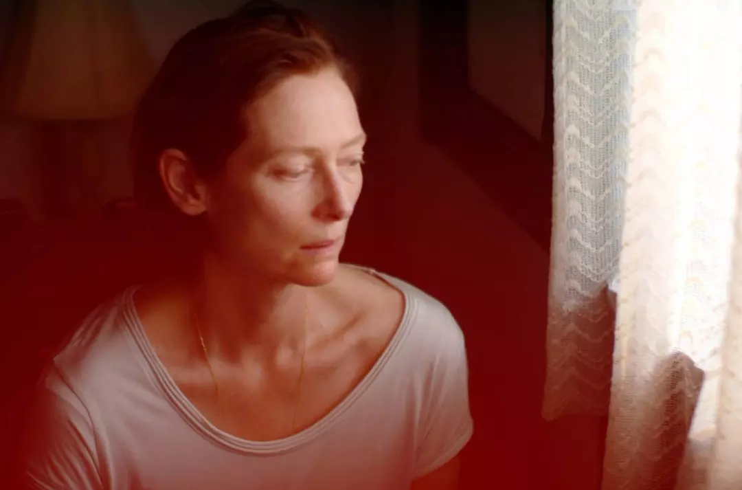 |Streaming| Com especiais dedicados a Tilda Swinton e Renata Pinheiro, MUBI anuncia estreias de agosto