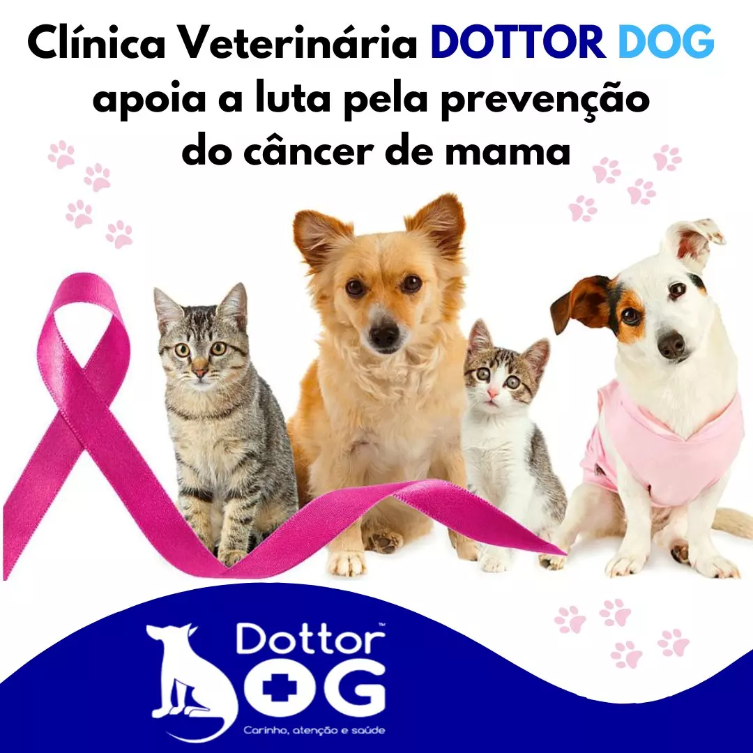 Prevenção do câncer de mama pet