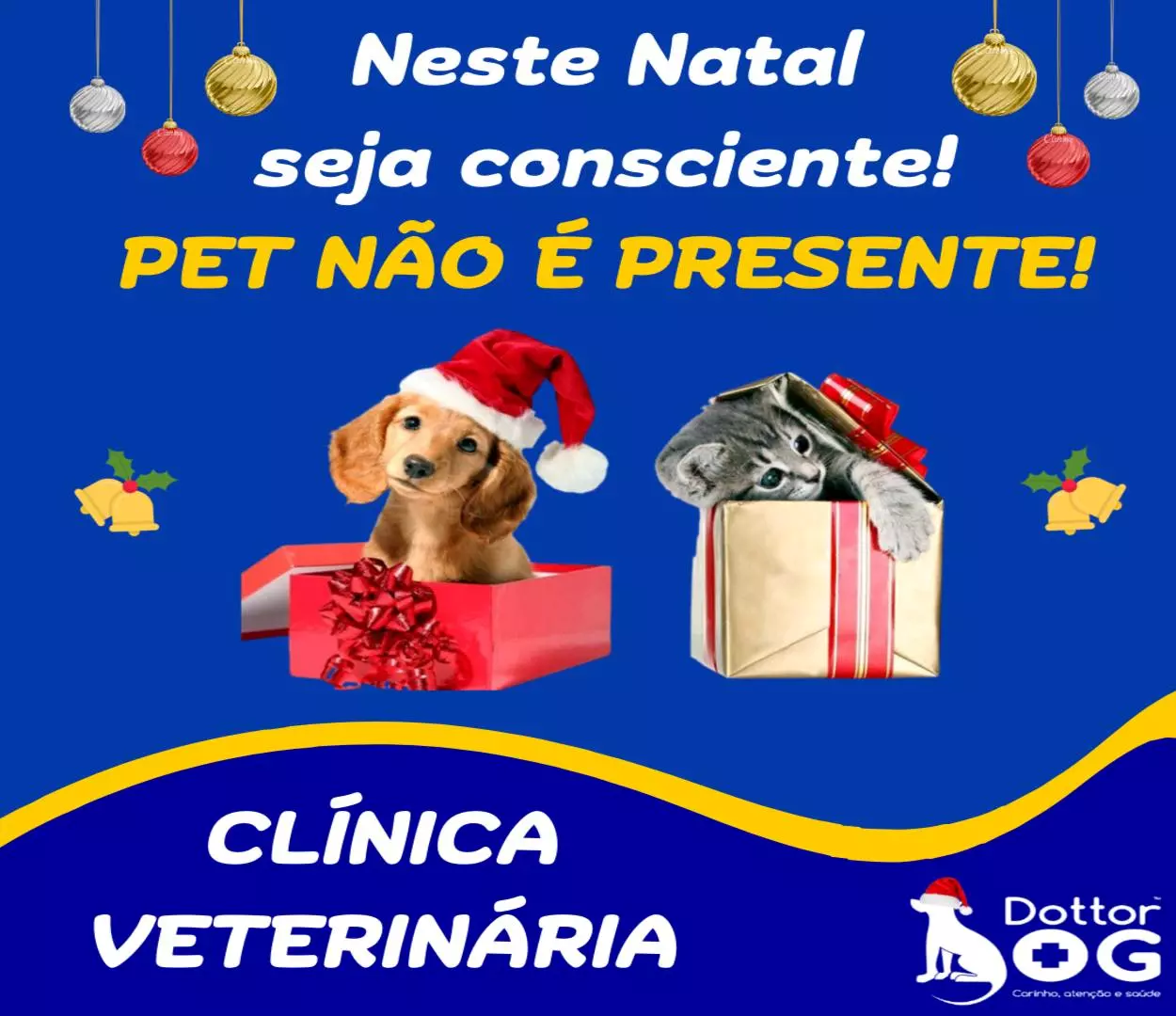 Pet não  é presente de Natal !