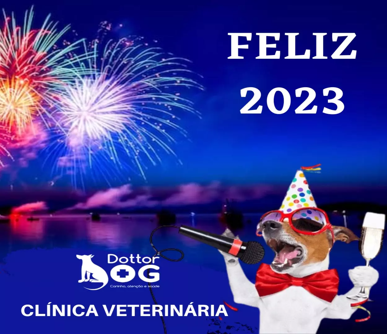 A DRA. CRIS , SUA FAMÍLIA E EQUIPE DESEJA A TODOS UM FELIZ 2023