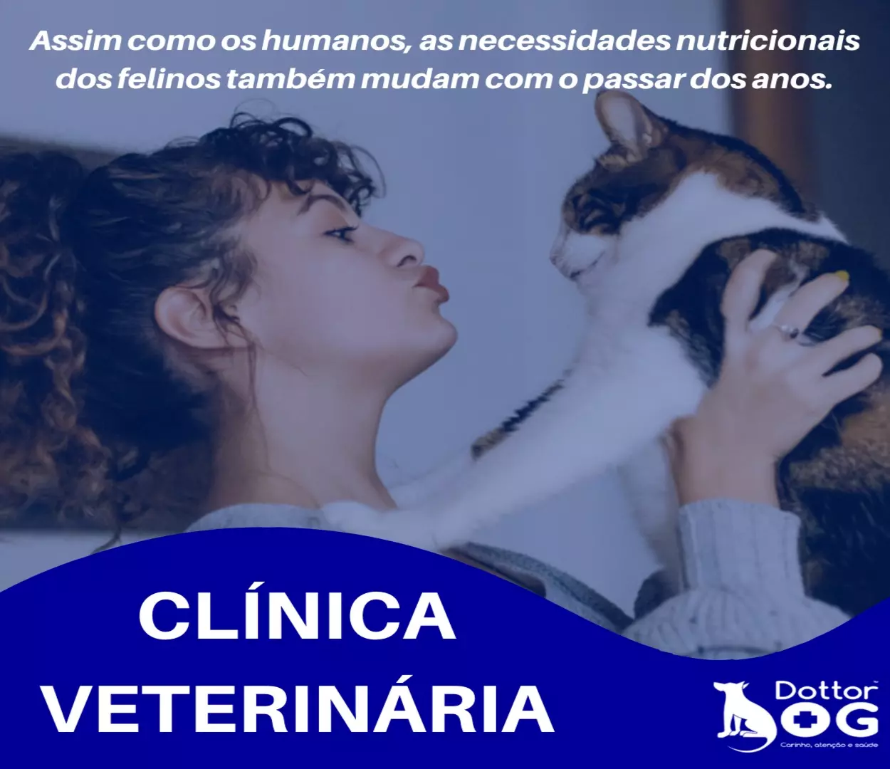 NECESSIDADES NUTRICIONAIS DOS FELINOS