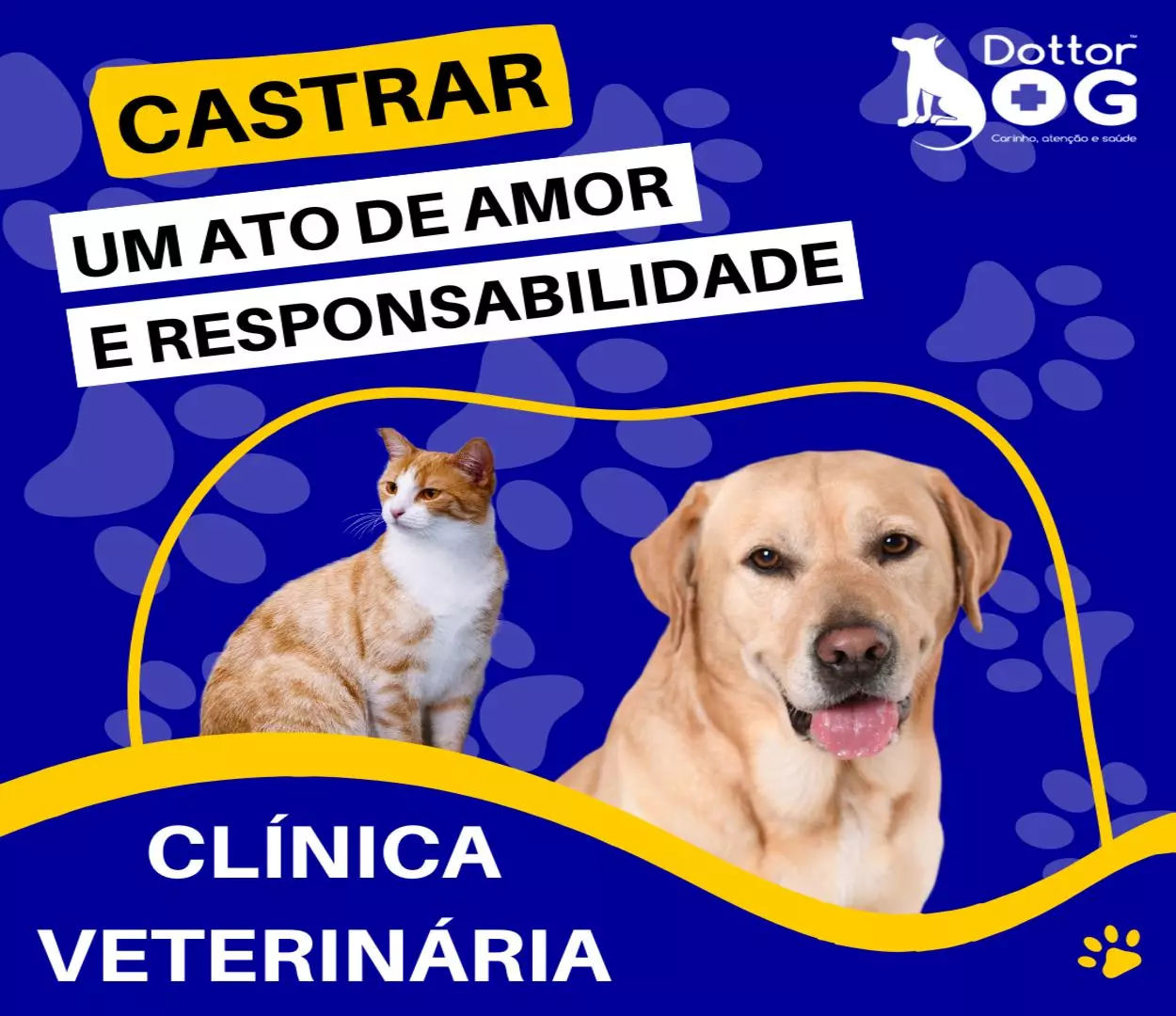 POR QUÊ A CASTRAÇÃO DE CÃES E GATOS É TÃO IMPORTANTE?