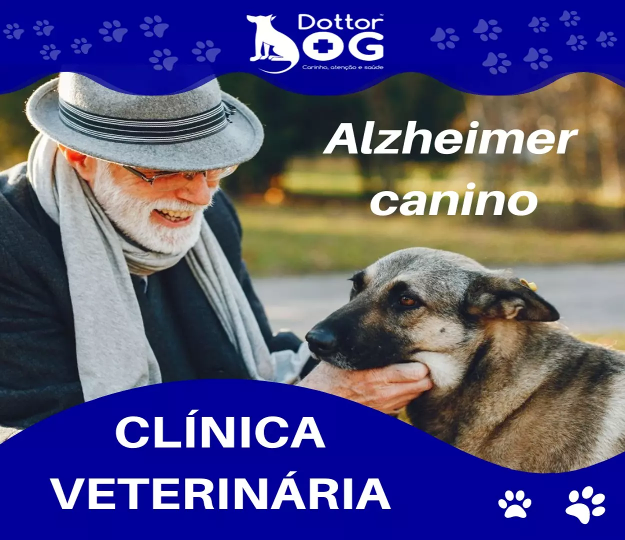 O QUE É O ALZHEIMER  CANINO?