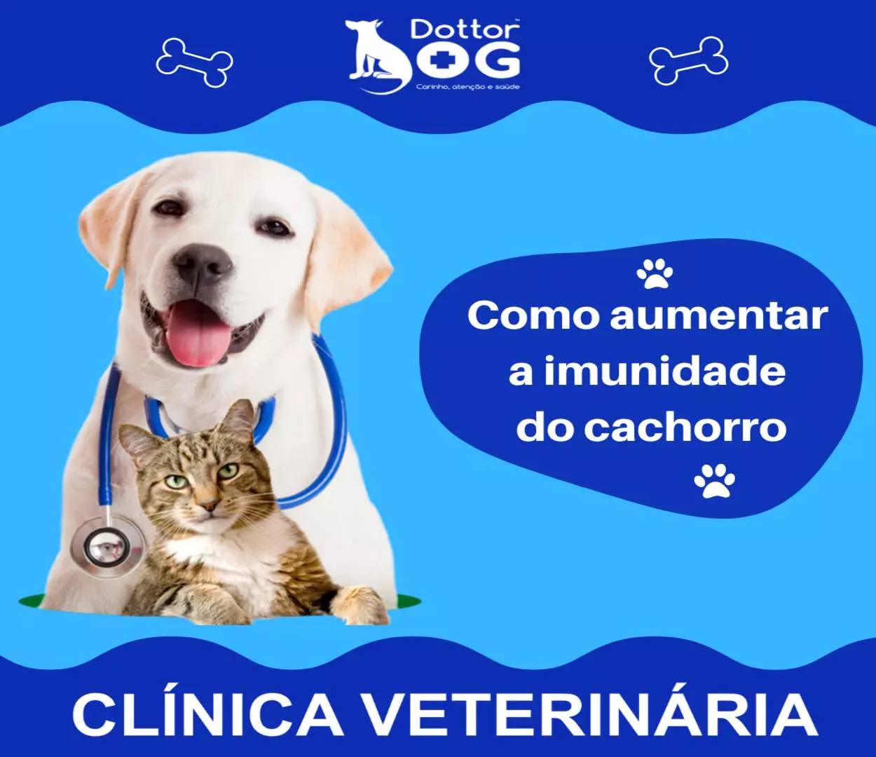 COMO AUMENTAR A IMUNIDADE NO SEU PET