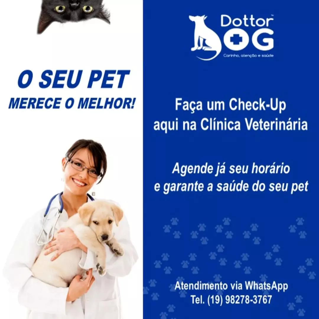 VOCÊ SABE COMO FUNCIONA UM CHECK UP  VETERINÁRIO?