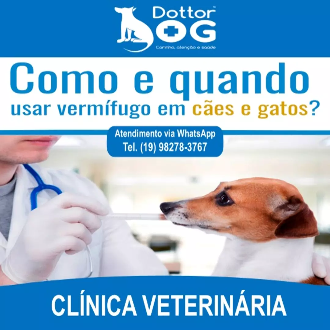 COMO UTILIZAR VERMÍFUGO EM CÃES E GATOS E QUAL A SUA IMPORTÂNCIA