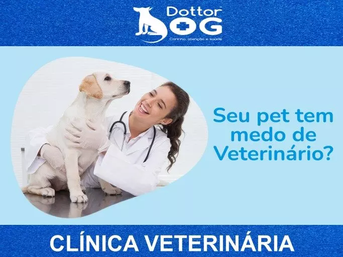 SEU PET TEM MEDO DE IR AO VETERINÁRIO? COM AS DICAS DA DRA. CRIS TUDO FICARÁ MAIS SIMPLES !