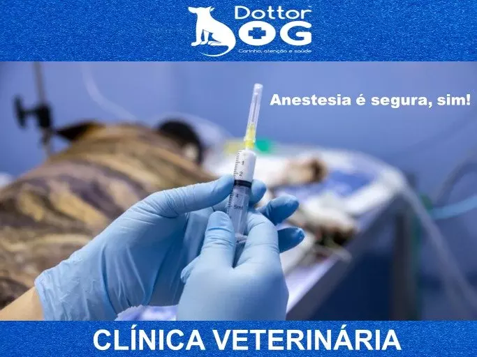 ANESTESIA PET DEVE SEMPRE SER FEITA POR PROFISSIONAIS CAPACITADOS!